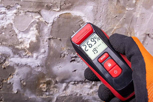 Best Residential Mold Removal  in Bear Creek, AK