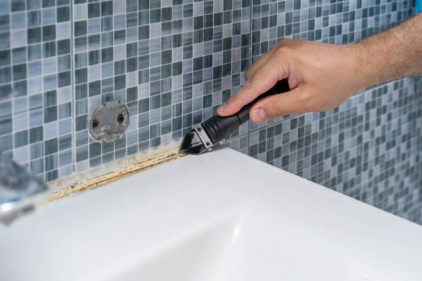 Best Office Mold Removal Services  in Bear Creek, AK
