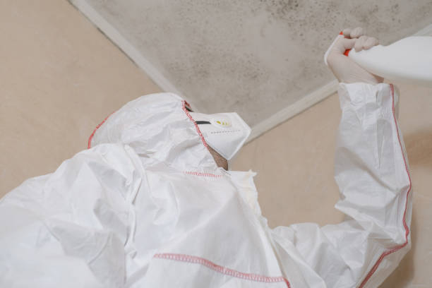 Best Certified Mold Removal  in Bear Creek, AK