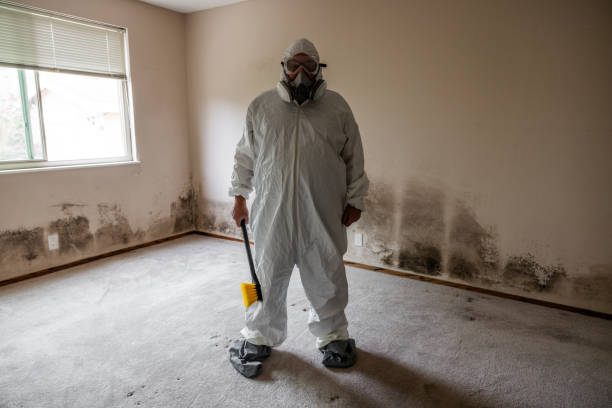 Best Mold Testing  in Bear Creek, AK